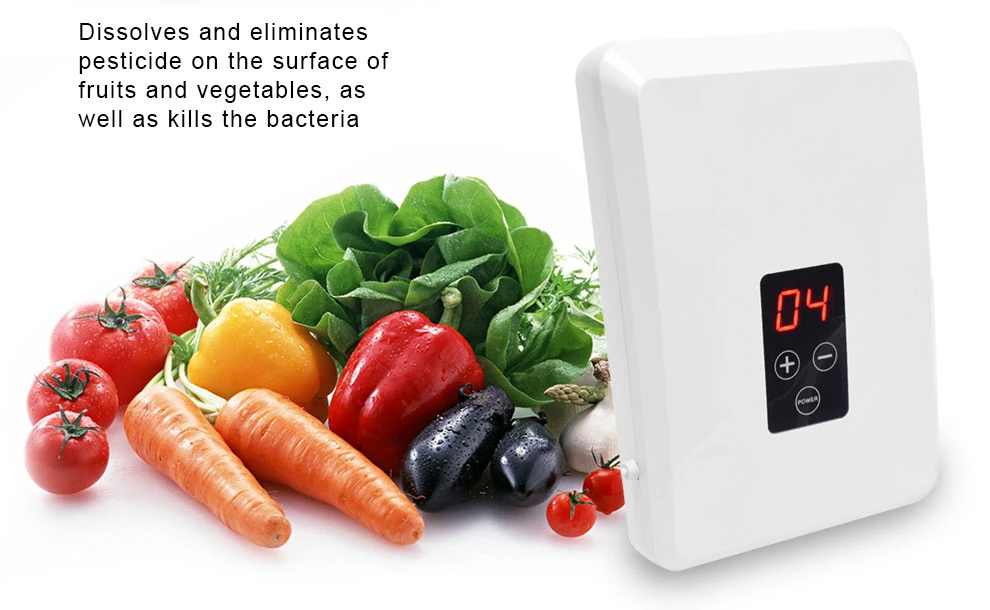 Wall Mounted Vegetable Purifiers Ozone Water Purifier Ozone Generator Home Appliance Fruit and Vegetable Clean Ozone Water Sterilizers