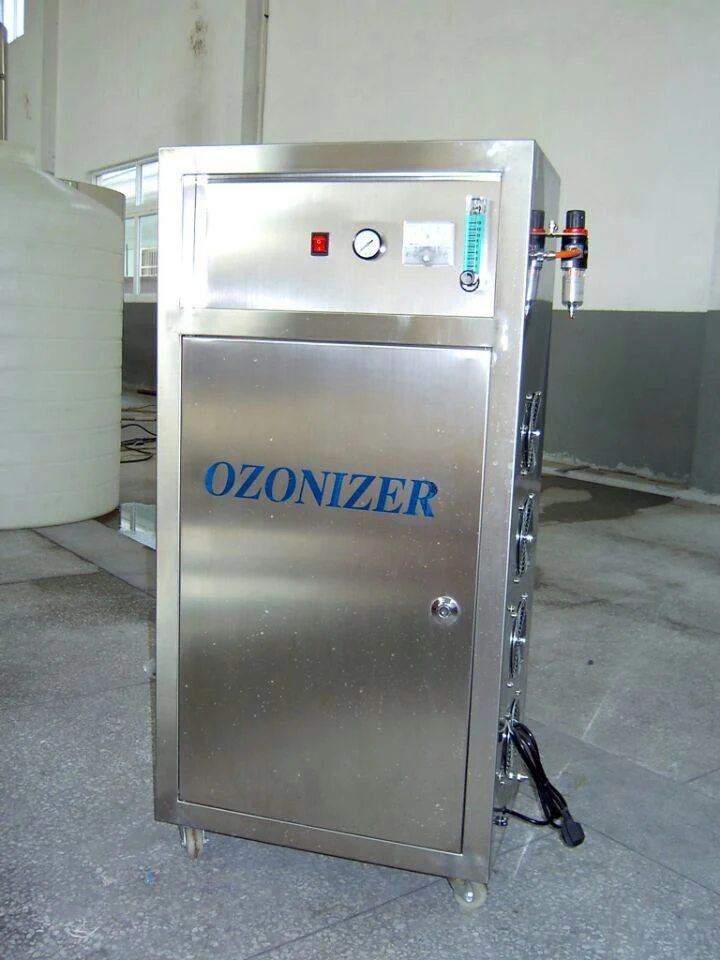 Industrial Ozone Generator with Oxygen Feeding 50g