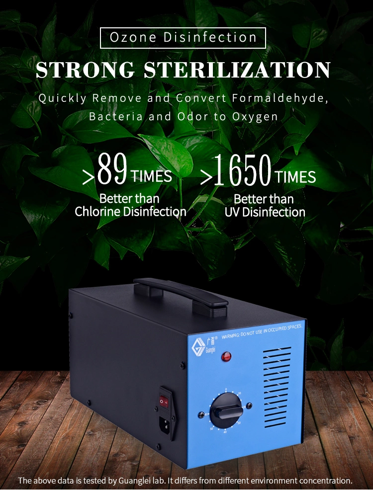 Portable Home Office O3 Air Ionizer Industrial 7000 Mg/H Ozone Generator