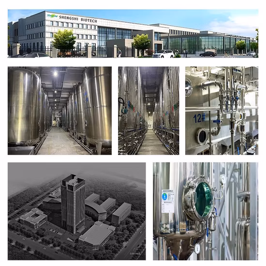 Factory Supply High Quality 98.5% Glyoxylic Acid Monohydrate CAS 563-96-2