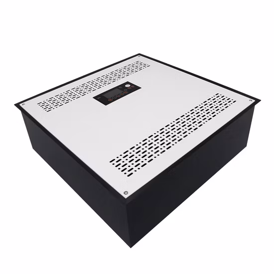Flygoo 50g/Hr Industrial Ceiling Mounted Ozone Generator Air Disinfector Ozone Sanitizer