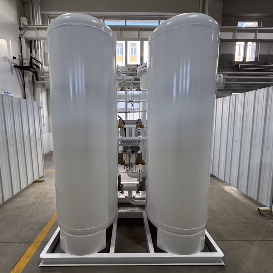 High Purity Psa Oxygen Generator for Industry with ISO9001 Certificate